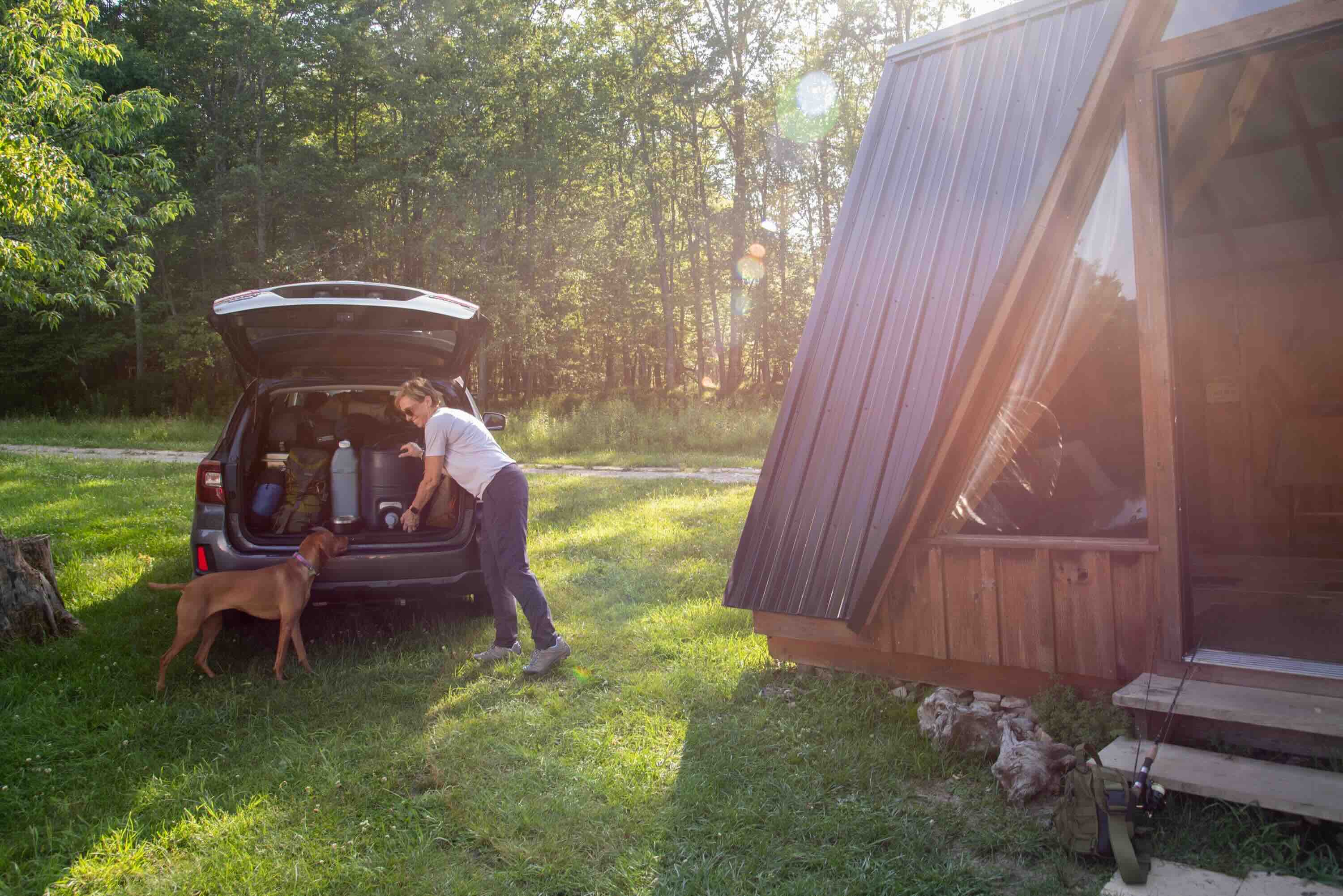 SUV, Kofferraum, Campingausrüstung, Hund, Camping