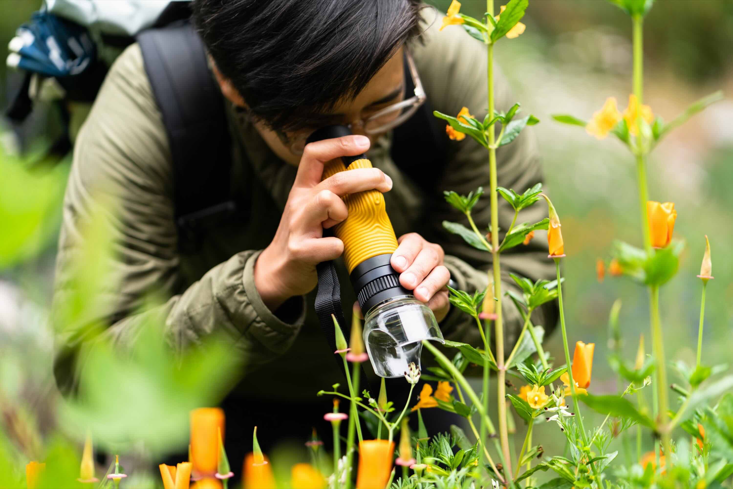handheld magnifier, Gartenwerkzeug, Pflanzenbeobachtung, gelbe Griff, Glaslinse